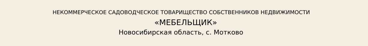 НСТСН «Мебельщик»
